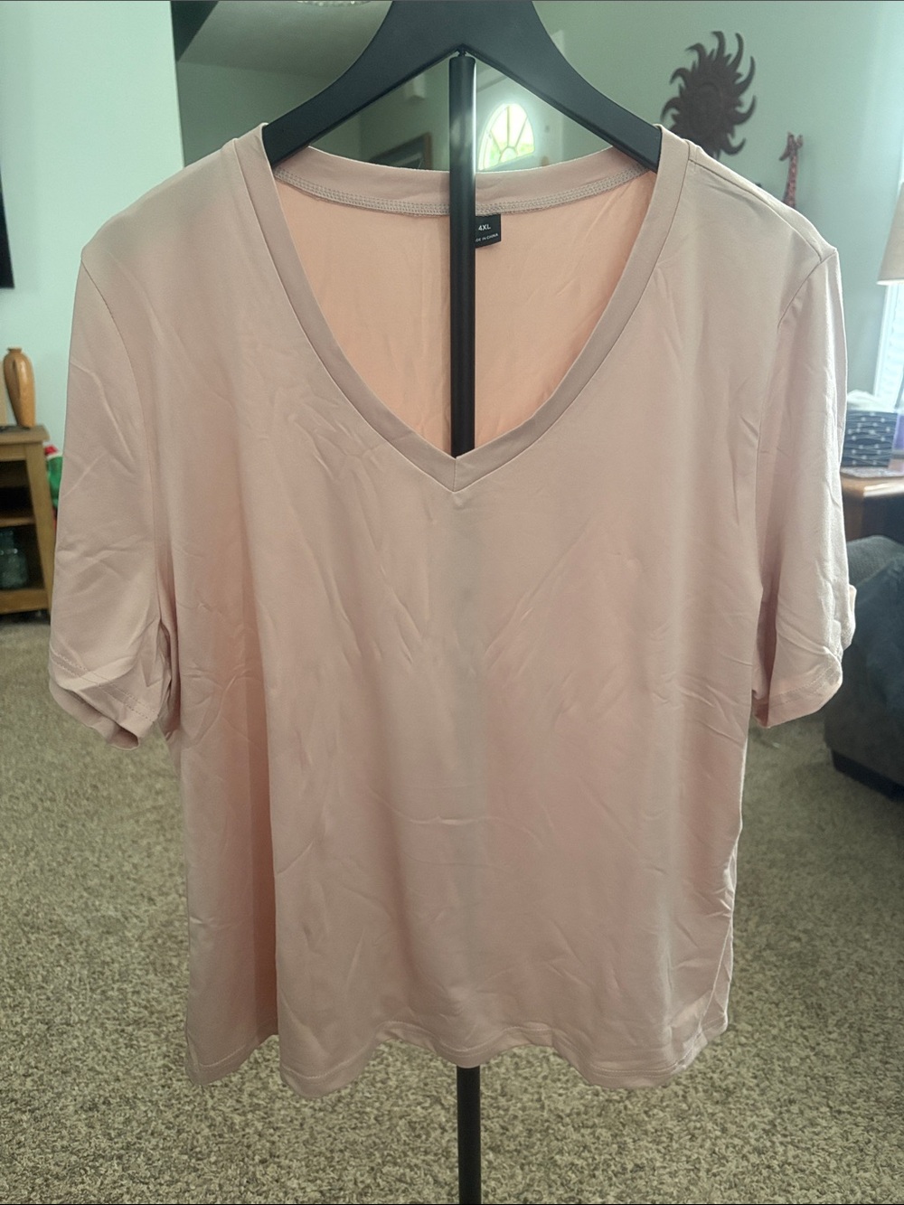 Women's V-Neck Short Sleeve Tee in Blush